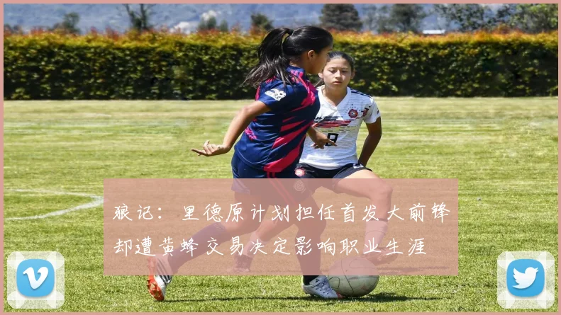 狼记：里德原计划担任首发大前锋却遭黄蜂交易决定影响职业生涯