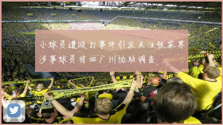 小球员遭殴打事件引发关注张家界涉事球员将回广州协助调查