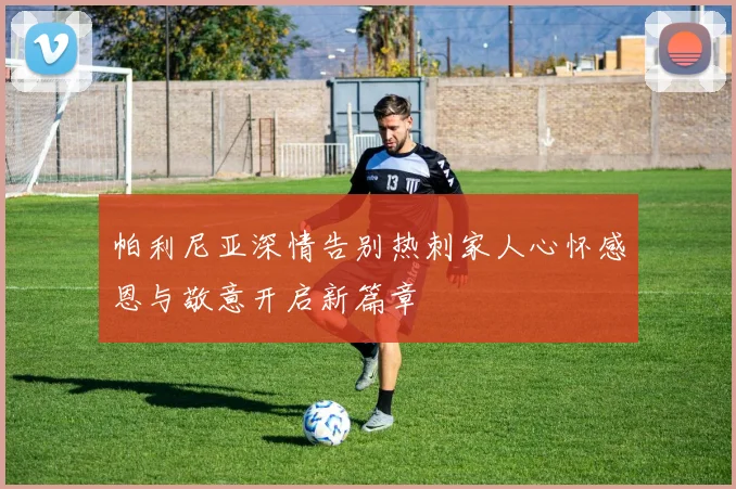 帕利尼亚深情告别热刺家人心怀感恩与敬意开启新篇章